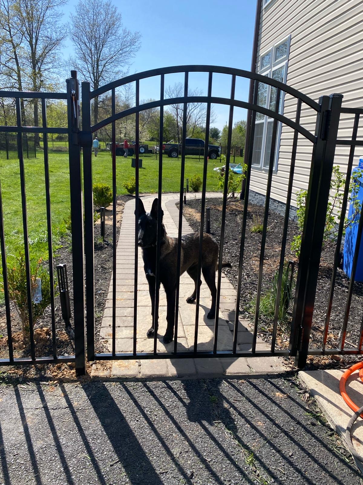 Metal Fence